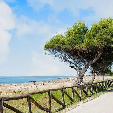 Beachside With Terrace * Бібіоне